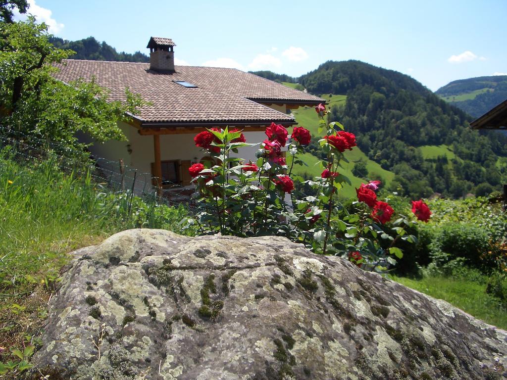 Lafreiderhof Villa Castelrotto Bagian luar foto